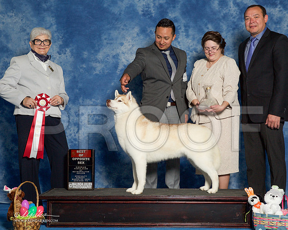 _R1_8275-HuskySltyMar2016-HR3