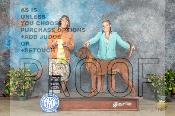 Redbone Coonhound #5 Sat G3 Judge Helene NietschMJP_9458_SA2023_HR3