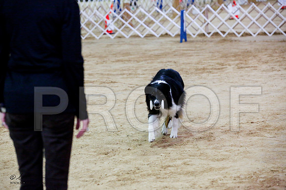 _JJ_7875-ASCACollegeStationNov2014-HR3