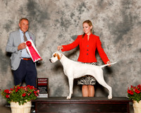 Pointer #6 Sat G2 Johnston Jane Megan Lane John Kearney Richard Agent Megan Johnston Lane Judge Desmond Murphy