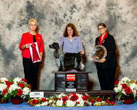English Cocker Spaniel #29 Sun G2 Mauterer Deborah and Kristin Lyons Judge Carol Tobin Murray