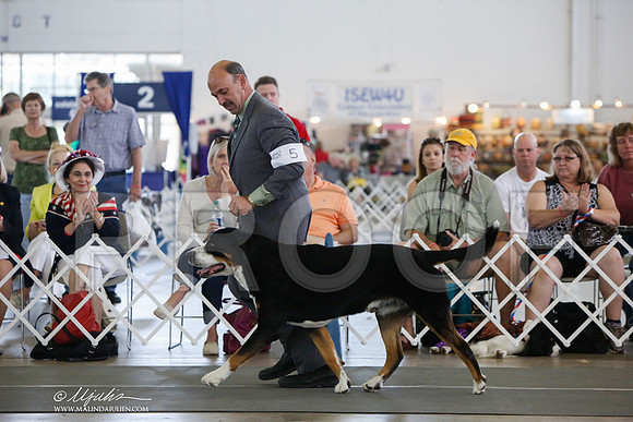 _JJ_1693-DallasJul2014-HR3