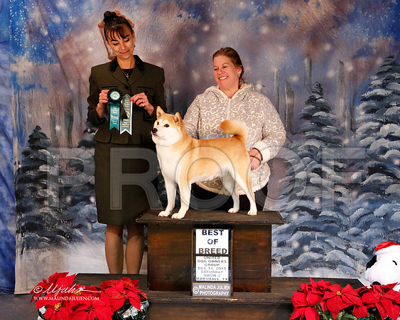 shiba-6239-MrshlDec13-HR