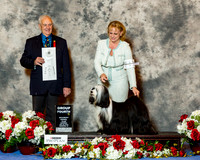 Tibetan Terrier #17 Sat G4 Planche Dina and Mikki and Lois DeMers Judge Robert Shreve