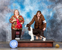 Carol M. Rushing Amarillo 2024