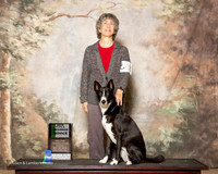 Canaan Dog #O33 Fri NT Beg Nov A Muller Marcia and James Muller