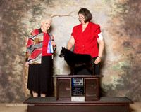 Schipperke #7 Sun Maj BOW June A Moore Judge Ann Hearn