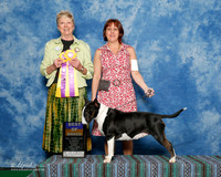 #36 Sun BOB Jacqueline Decker and Anita and Walter Bavol Judge Jan Dykema