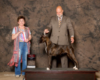 Boxer #8 Fri BOS Paulson Keri Judge Cindy Meyer RESHOOT