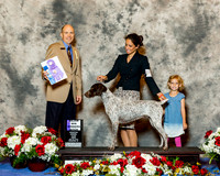 German Shorthaired Pointer #10 Fri WB Maj Dodd Ashley K Mr Larry C Abbott