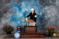 Italian Greyhound #21 Fri G2 Judge Wendy Willhauck