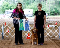 Golden Retriever #? Sun HIT High combined Gary Reed