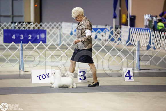_JJ_4218-SanAntonioJul2014-HR