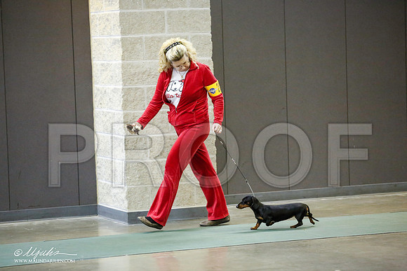 _JN_3938-BeltonJan2015-HR3
