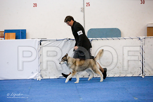 _JJ_0176-HuskySltyMar2016-HR3