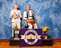 Cavalier King Charles Spaniels #22 Sat BBreed Herrington Jan Judge Mrs Sharon Newcomb