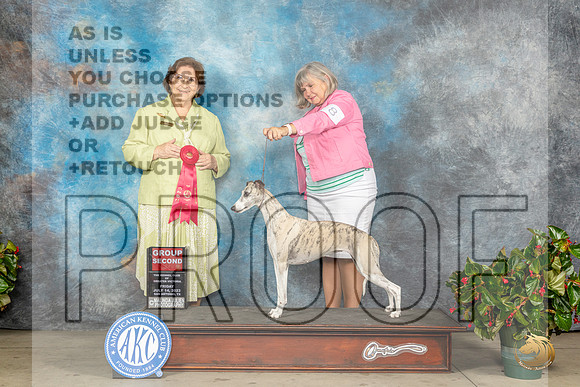 Whippet #8 Fri G2 Judge Nikki RiggsbeeMJP_8357_SA2023_HR3