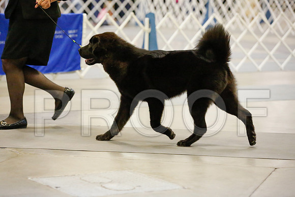 _JJ_7617-AmarilloSept2014-HR3