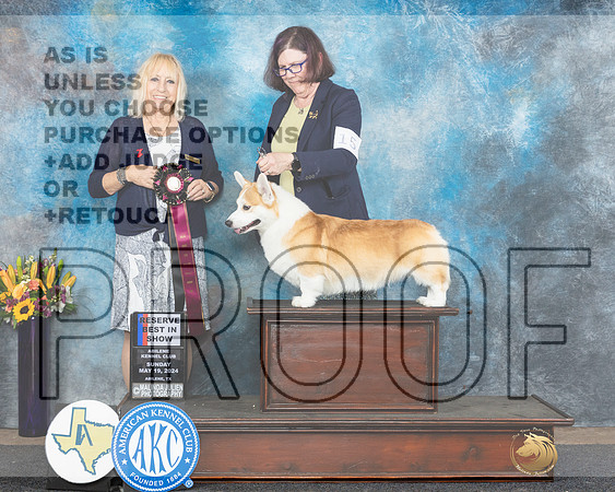 Brodie_JP_0181e_Abilene_2024-HR3