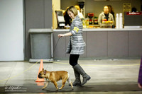 Lea Brimberry Frenchie 2 AMD PD FT