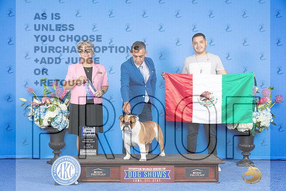 Bulldog #25 FRI BOW M Judge Sandra Lex_JP_0181e_Houston_2024-HR3
