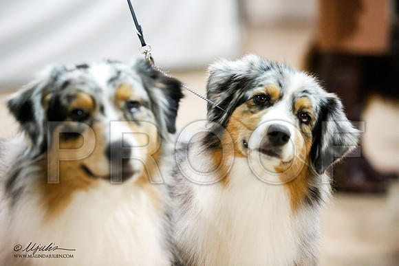 _JJ_1634-ASCACollegeStationNov2014-HR3