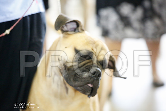 _JJ_4002-DallasJul2014-HR3
