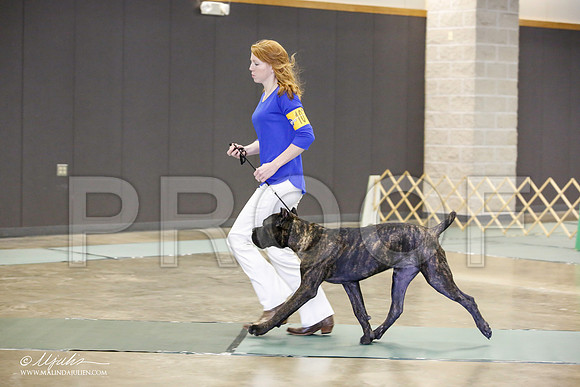 _JN_1666-BeltonJan2015-HR3