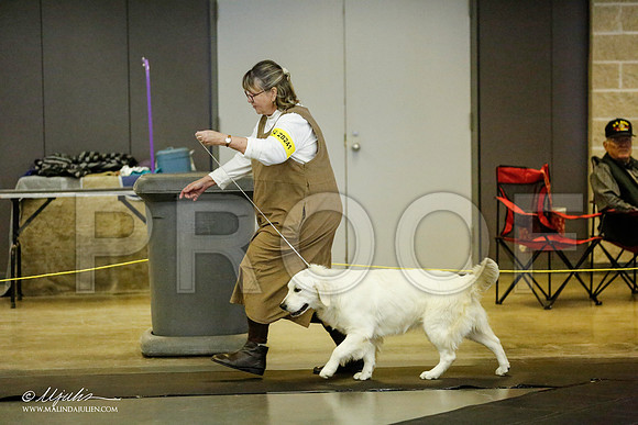 _RH_1063-BeltonJan2015IABCA-HR3