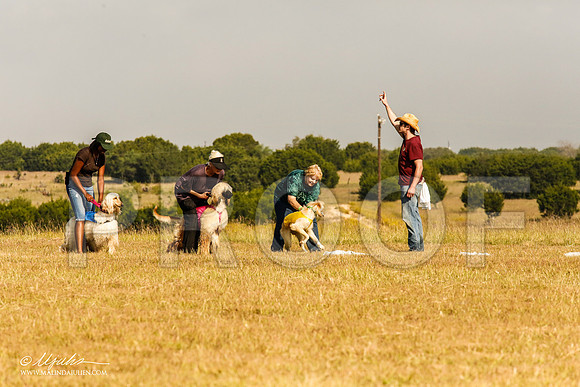 _MJ_4082-AfgBeltonOct2014-HR3