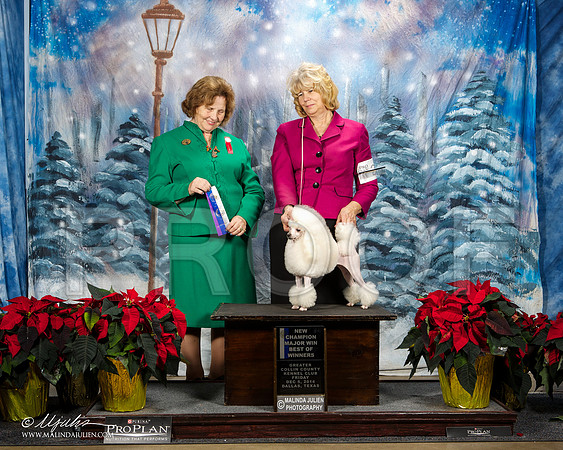 _ST_8286-DallasDec2014-HR3