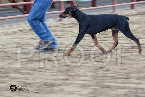 MJ2_0957-WacoFeb14-HR