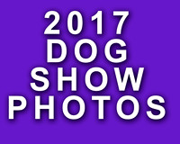 2017 Dog Show Events