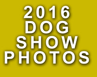 2016 Dog Show Events