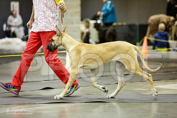 _RH_1698-BeltonJan2015IABCA-HR3