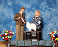 American Eskimo Dogs #14 Fri BOH SB Maj De La Paz Susan Laurie Boles