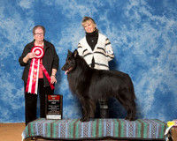 Belgian Sheepdogs #13 Fri BOS Barbara Weiner Lisa Leffingwell Judge Mrs Alice lnman