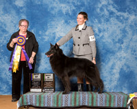 Belgian Sheepdogs #14 Fri BOB BV Barbara Weiner Lisa Leffingwell Judge Mrs Alice lnman