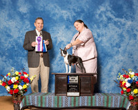 Boston Terriers #24 Fri BOW Maj Weiss Marlene Kethleen Brewer Robin Gates Judge Mr James J Ham