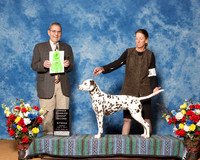 Dalmatians #14 Fri OH G2 Rodes Jana Richard Baker Peter Johnson Judge Mr James J Ham