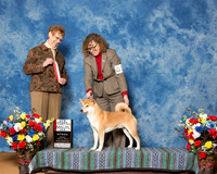 Shiba Inu #11 Fri BOS NG Haslam Myrrh Tom Helen Tully Judge Mrs Patricia Hastings