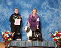 TIbetan Terriers #17 Fri SG1 Demers Mikki Lois Demers Dina Planche Agent Lois Demers Judge Ms Paula McSwain