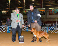 Retrievers Nova Scotia Duck Tolling #5 Sat Maj BOW Clark Jeanine M Judge Mr Del Richards