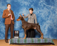Doberman Pinschers #15 Sat Maj BOS Ramos Susan M Judge Mr William DeVilleneuve
