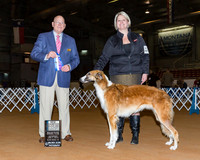 Borzois #14 Sat NC MW BW WB Snyder Dr Danielle Judge Mr Gary L Doerge