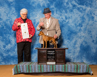 Miniature Pinschers #5 Sat G4 Dewey Larry Penny Judge Mrs Melanie D Williams
