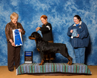 Rottweilers #16 Sat G1 Williamson T D Agent Julia Foster Hess Judge Ms Angela J Porpora