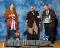 Scottish Terriers #8 Sat BIS Edell Kelli Agent Jesus Moreno Judge Mr William Devilleneuve
