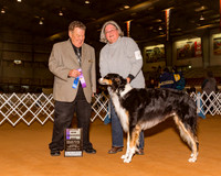 Borzois #9 Sun Maj WD Sydow Ashley N Judge Mr Del Richards