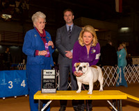 Bulldogs #8 Sun NC Scott Linda Judge Mrs Ann D Hearn